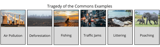 Tragedy of the commons examples