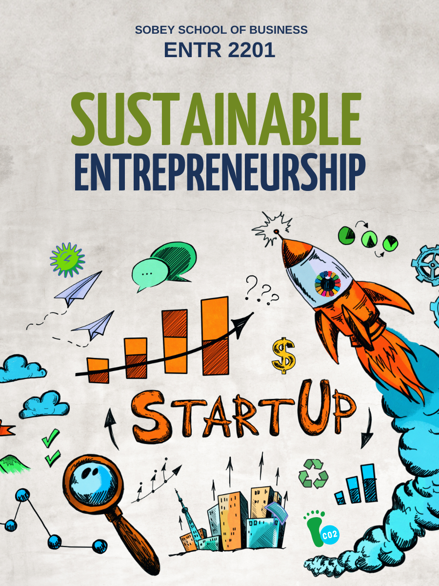 Cover image for Sustainable Entrepreneurship