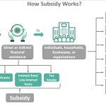 How Subsidy Works?