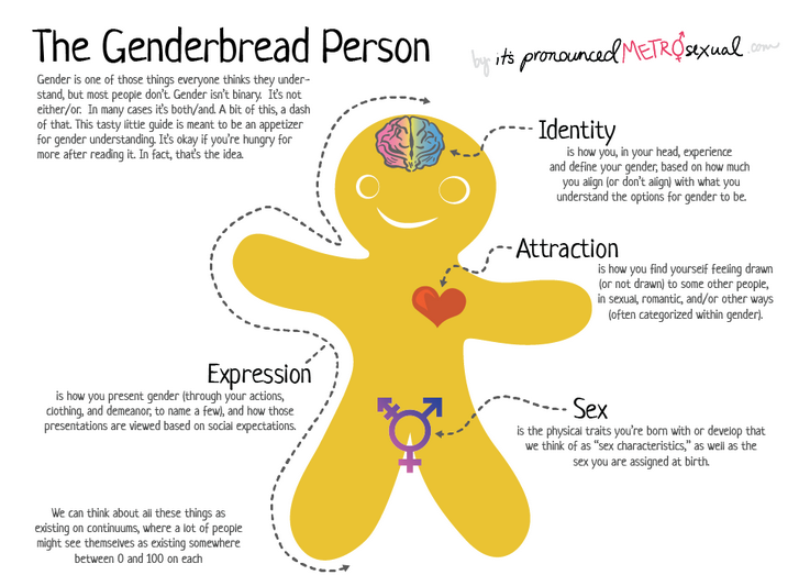 A drawing of a gender neutral gingerbread person called a genderbread person.
