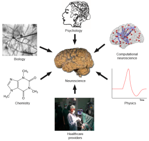 concept web showing input of biology, psychology, computer science, physics, healthcare providers, and chemistry to neuroscience