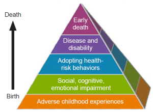 triangular pyramid with layers, where lowest to highest layers represent movement from birth to death and are labeled 1) adverse childhood experiences, 2) social, cognitive, emotional impairment, 3) adopting health-risk behaviors, 4) disease and disability, and 5) early death