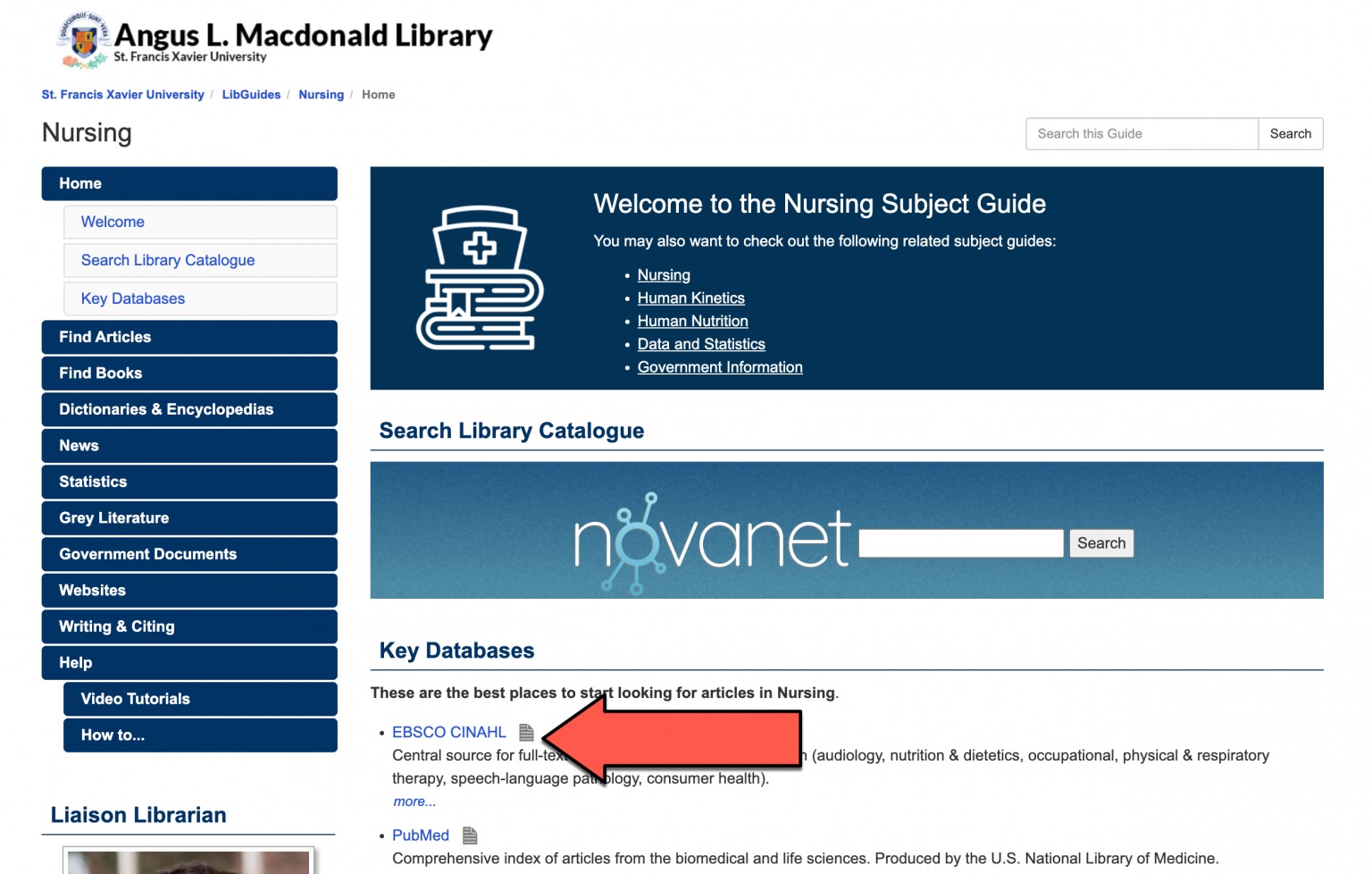 cinahl database