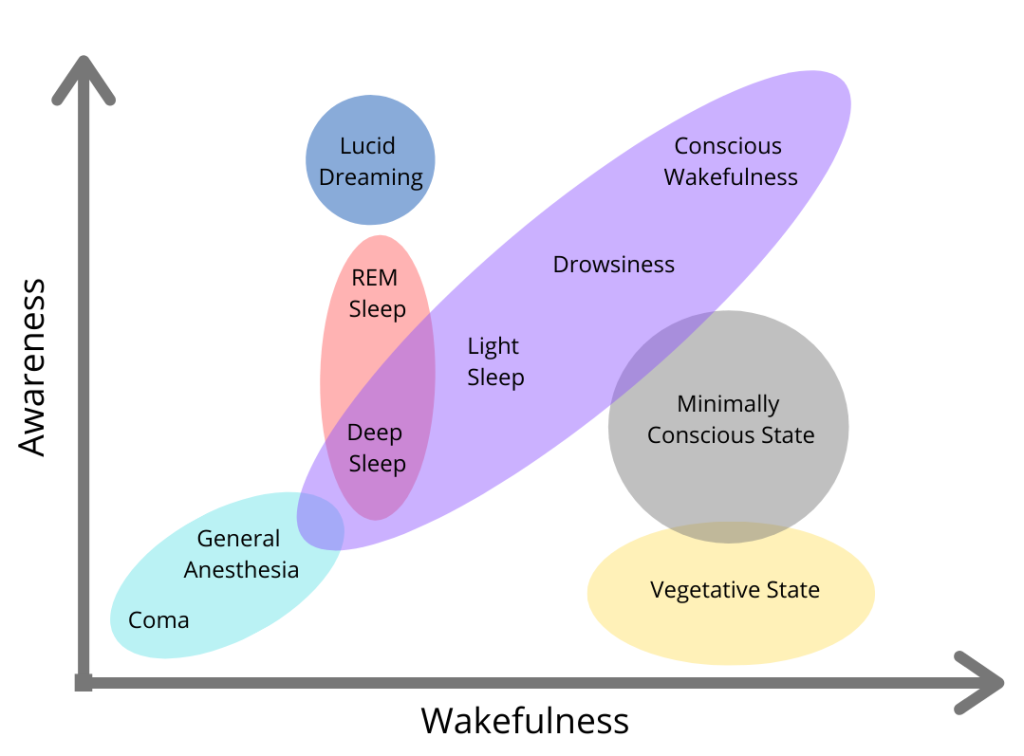 A graph of wakefulness (x axis) and awareness (y axis) is depicted. Close to the intersecting point is a circle which contains the words "coma, general anesthesia" in a linear presentation. This circle connects to a larger oval also presented linearly which contains the words "deep sleep, light sleep, drowsiness, conscious wakefulness". The word Deep Sleep is also encompassed by an overlapping circle with the words "REM Sleep" also contained above it on the Awareness y-axis. Above this is a circle with the word Lucid Dreaming. Below the words Conscious Wakefulness and Drowsiness is the words "Minimally conscious state" in another circle. Below this is a circle with the words "vegetative state"