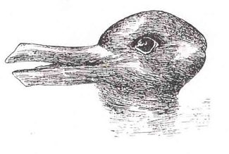 An ambiguous drawing looks like a duck facing to the left, but the beak fo the duck also can look like the ears of a rabbit facing to the right.