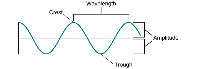 A diagram illustrates the basic parts of a wave. Moving from left to right, the wavelength line begins above a straight horizontal line and falls and rises equally above and below that line. One of the areas where the wavelength line reaches its highest point is labeled “Peak.” A horizontal bracket, labeled “Wavelength,” extends from this area to the next peak. One of the areas where the wavelength reaches its lowest point is labeled “Trough.” A vertical bracket, labeled “Amplitude,” extends from a “Peak” to a “Trough.”