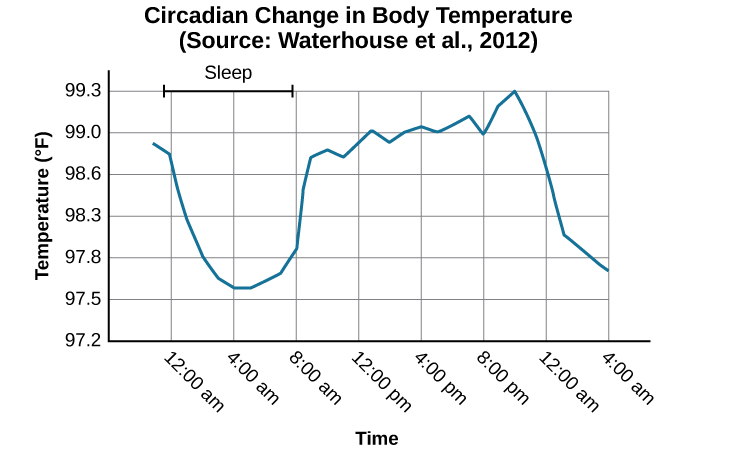 A line graph is titled “Circadian Change in Body Temperature (Source: Waterhouse et al., 2012).” The y-axis, is labeled “temperature (degrees Fahrenheit),” ranges from 97.2 to 99.3. The x-axis, which is labeled “time,” begins at 12:00 A.M. and ends at 4:00 A.M. the following day. The subjects slept from 12:00 A.M. until 8:00 A.M. during which time their average body temperatures dropped from around 98.8 degrees at midnight to 97.6 degrees at 4:00 A.M. and then gradually rose back to nearly the same starting temperature by 8:00 A.M. The average body temperature fluctuated slightly throughout the day with an upward tilt, until the next sleep cycle where the temperature again dropped