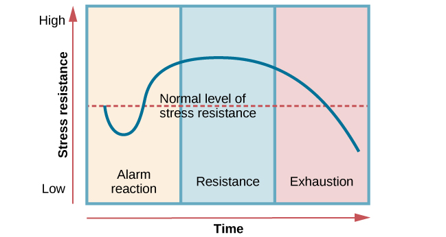 A graph shows the three stages of Selye’s general adaption syndrome: alarm reaction, resistance, and exhaustion. The x-axis represents time while the y-axis represents stress levels. The x-axis is labeled “Time” and the y-axis is labeled “Stress resistance.” The graph shows that an increase in time and stress ultimately leads to exhaustion.