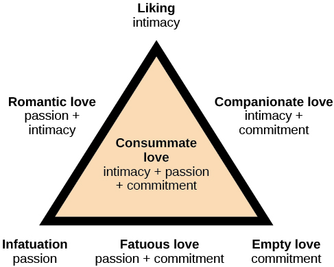 Diagram shows a triangle. The interior of the triangle is labeled, “Consummate love; intimacy + passion + commitment.” The peak of the triangle is labeled, “Liking; intimacy.” The left side of the triangle is labeled, “Romantic love; passion + intimacy.” The right side of the triangle is labeled, “Companionate love; intimacy + commitment.” The bottom left corner of the triangle is labeled, “Infatuation; passion.” The bottom side of the triangle is labeled, “Fatuous love; passion + commitment.” The bottom right corner of the triangle is labeled, “Empty love; commitment.”