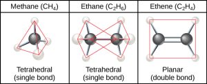 Methane, the simplest hydrocarbon, is composed of four hydrogen atoms surrounding a central carbon. The bond between the four hydrogen atoms and the central carbon spaced as far apart as possible. This results in a tetrahedral shape with hydrogen atoms projecting upward and off to three sides around the central carbon. Ethane is composed of two carbons connected by a single bond. Each carbon also has three hydrogen atoms connected to it. The hydrogens are spaced as far apart from each other and from the other carbon so again the shape is tetrahedral. Ethene, like ethane, is composed of two carbon atoms, but in this case the carbons are connected by a double bond. Each carbon also has two hydrogen atoms connected to it, for a total of three bonds. The three bonds are spaced as far apart as possible around carbon, which means they are all on the same plane and pointing off in three directions. As a result, the molecule is planar, or flat.