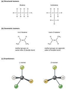 Part A shows butane and isobutane are structural isomers. Both molecules have four carbons and ten hydrogens, but in butane the carbons form a single chain, while in isobutane the carbons form a branched chain. Part B shows cis dash 2 butene and trans dash 2 butene each consist of a four-carbon chain. The two central carbons are connected by a double bond resulting in a planar, or flat shape. In the cis isomer, both terminal upper case C upper case H subscript 3 baseline groups are on the same side of the plane, and two hydrogen atoms are on the opposite side. Imagine a person with arms stretched out and upwards and legs spread apart, with a glove on the left hand and a sock on the left foot: this represents a cis configuration. In cis-butene the terminal upper C upper H subscript 3 baseline groups are on opposite sides of the plane. Now, imagine a person with outstretched arms and legs, but this time with a glove on the left hand and a sock on the right foot: this is what a trans configuration looks like. Part C shows two enantiomers, each with different arrangement of hydrogen, bromine, chlorine and fluorine around a central carbon. The molecules are mirror images of one another.