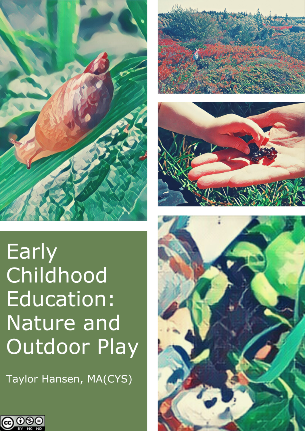 Cover image for Early Childhood Education: Nature and Outdoor Play